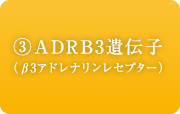 ADRB3遺伝子