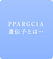 PPARGC1A遺伝子とは...