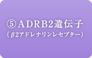 ADRB2遺伝子